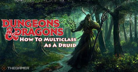 Dungeons & Dragons: How To Multiclass As A Druid.